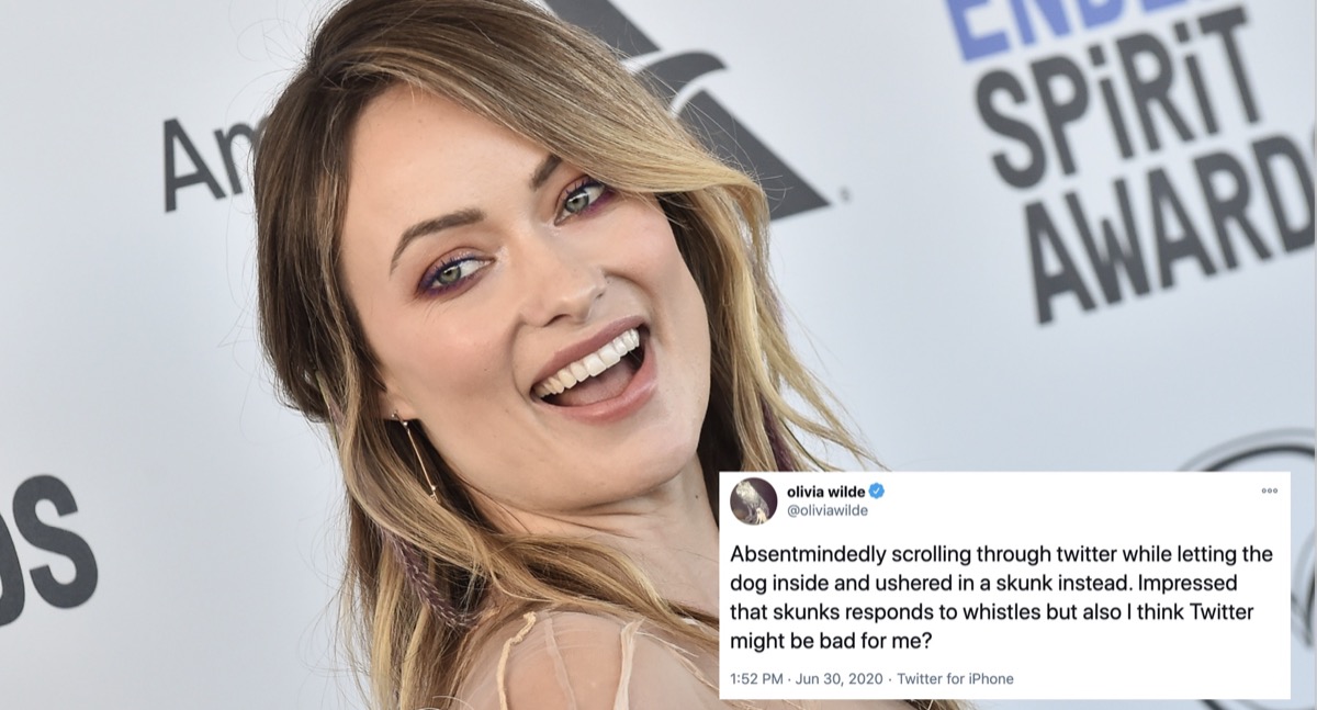 Olivia Wilde and a Twitter Post