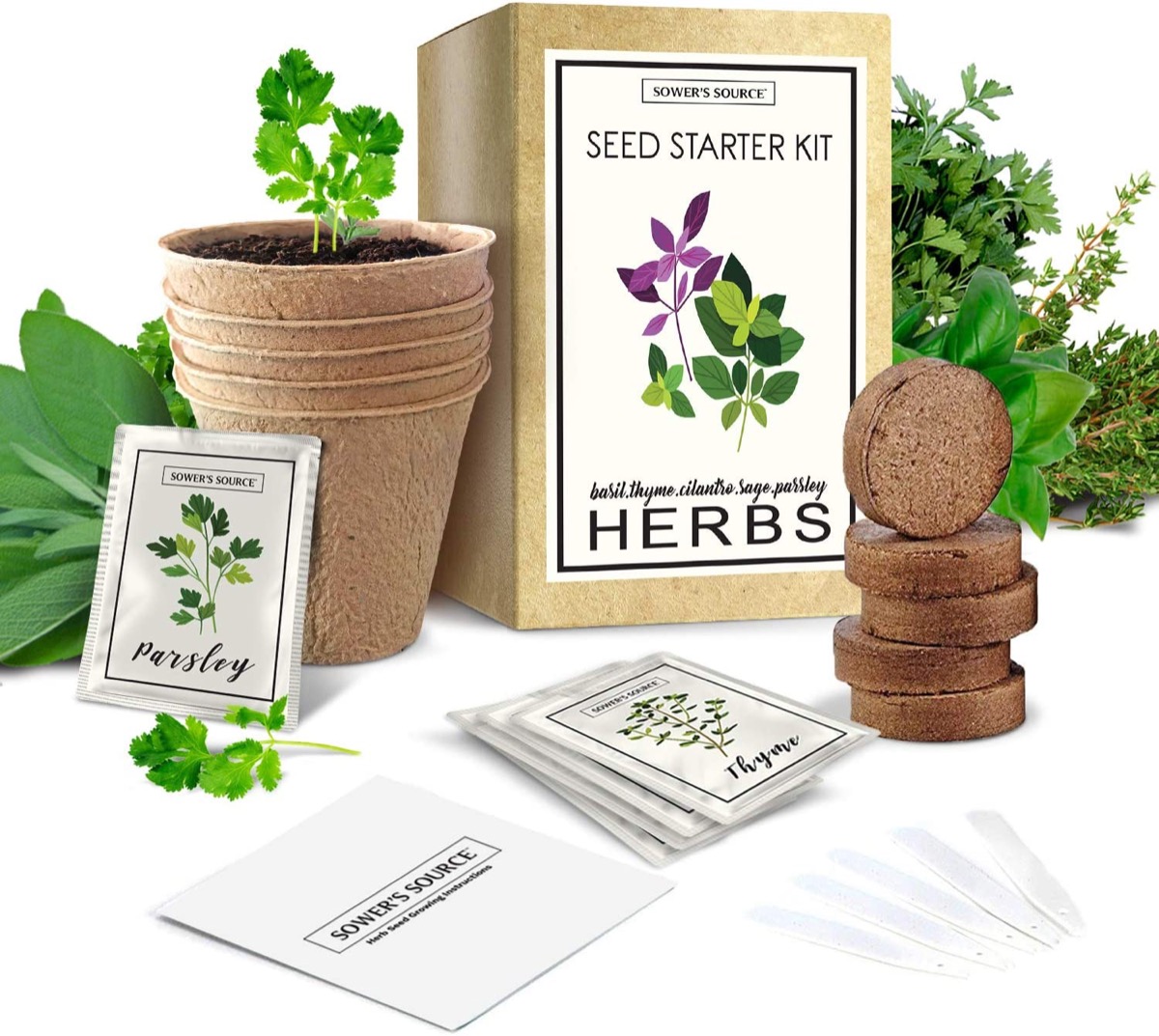 herb starter kit