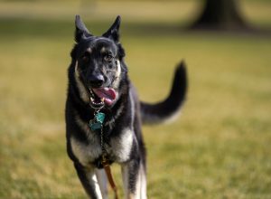 Major Biden close-up