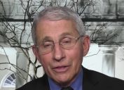 Dr. Anthony Fauci appearing on CNN's virtual town hall on Jan. 27, 2021