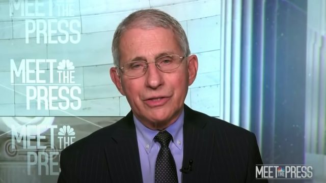 dr anthony fauci on meet the press