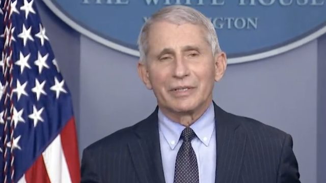 Dr. Anthony Fauci discusses the new COVID strain from South Africa during White House briefing on Jan. 21, 2021
