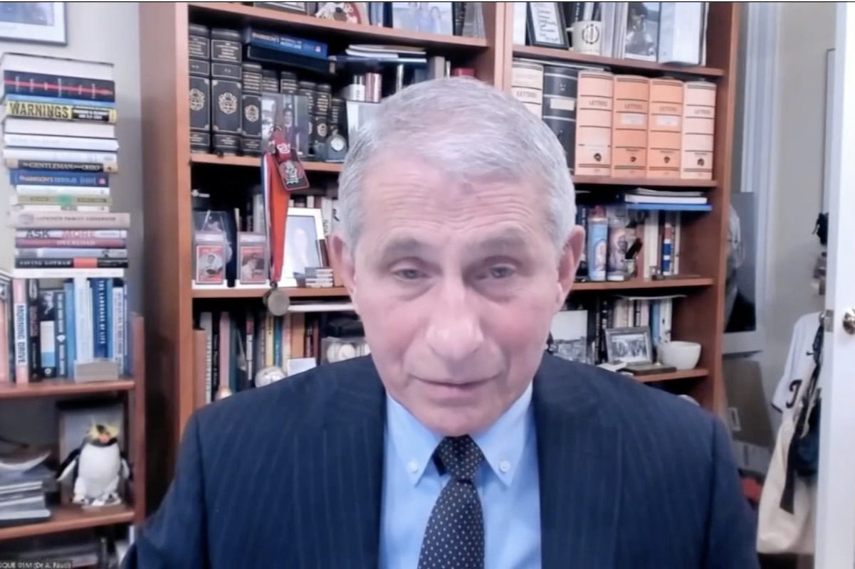 Anthony Fauci attends WHO executive board meeting