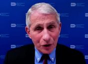 anthony fauci in a cnn interview