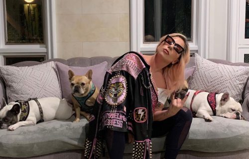 Lady Gaga with her dogs
