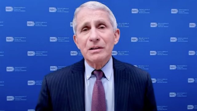 dr anthony fauci in purple or brown tie and suit in front of blue background