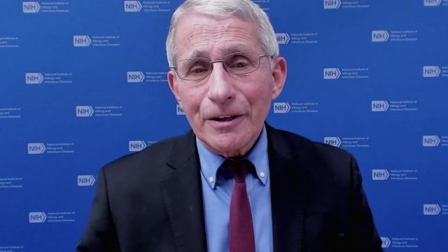 Dr. Fauci discusses the South African variant on CNN