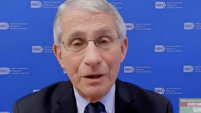 Anthony Fauci talks return to normal on MSNBC on Feb. 18