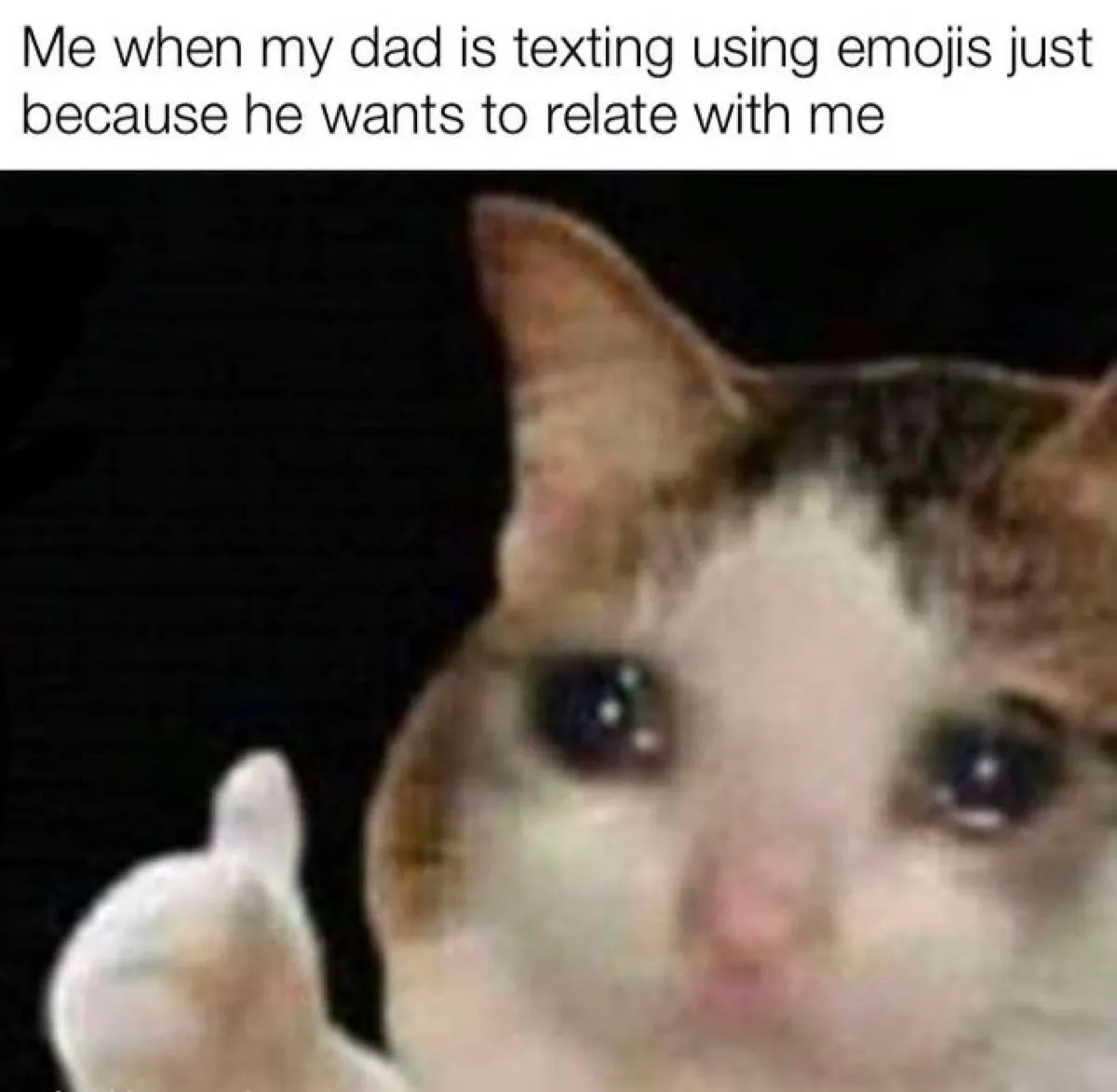 Crying cat meme with the caption, "Me when my dad is texting using emojis just because he wants to relate to me."