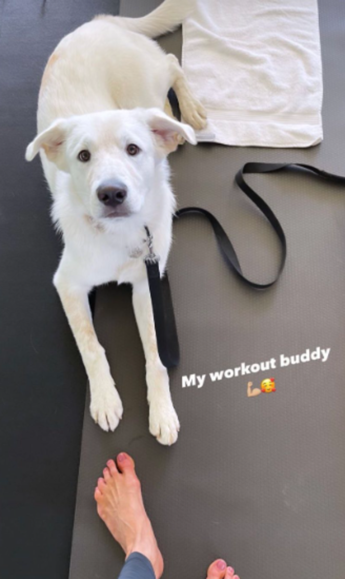 Jennifer Aniston's dog Lord Chesterfield laying on a yoga mat