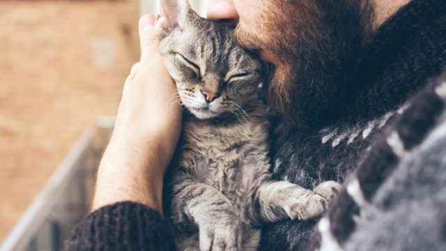 Man with beard cuddling grey cat