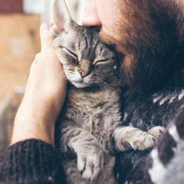 Man with beard cuddling grey cat