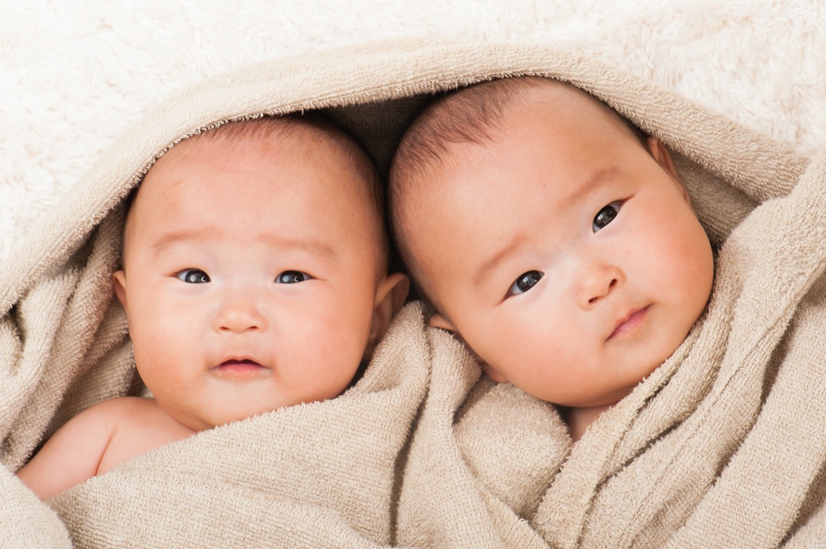 Twin babies in a blanket