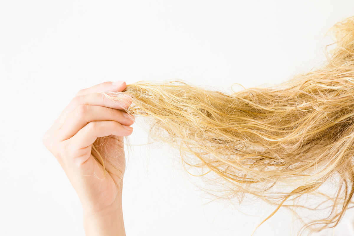 Woman's hand holding wet, blonde, tangled hair after washing on white background.