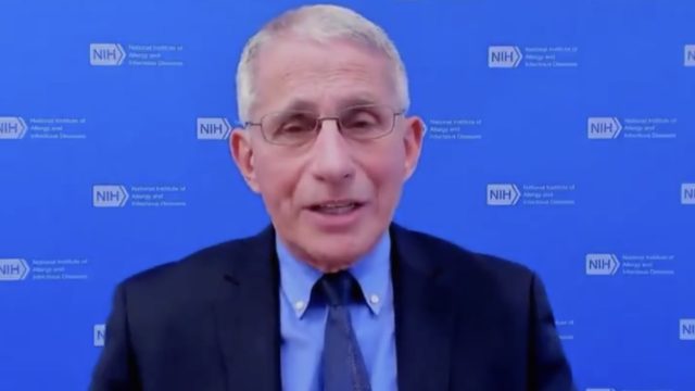 Fauci reveals when we can reduce COVID restrictions on The Lead on CNN on Mar. 4