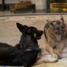 Major and Champ Biden