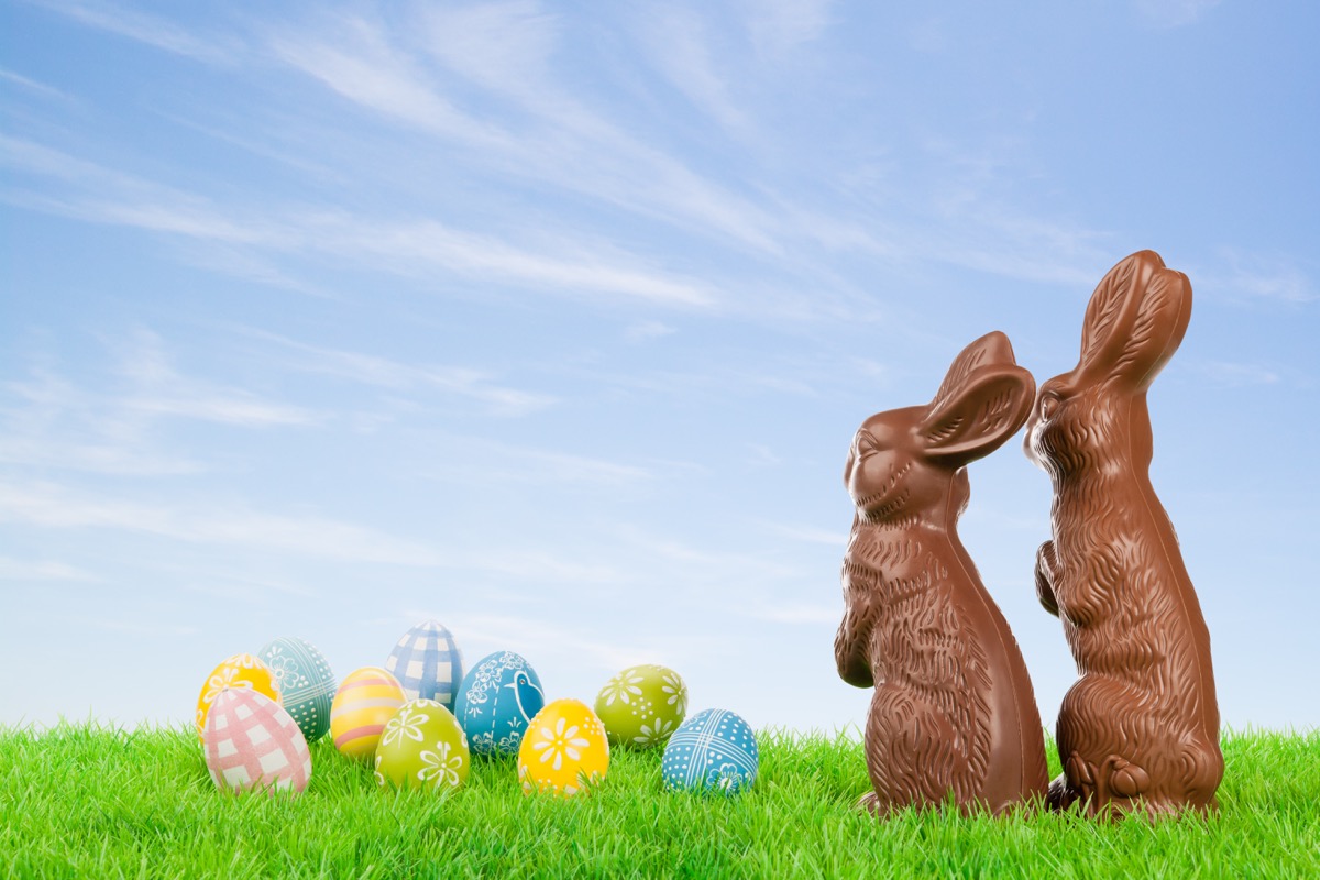 chocolate easter bunnies and eggs