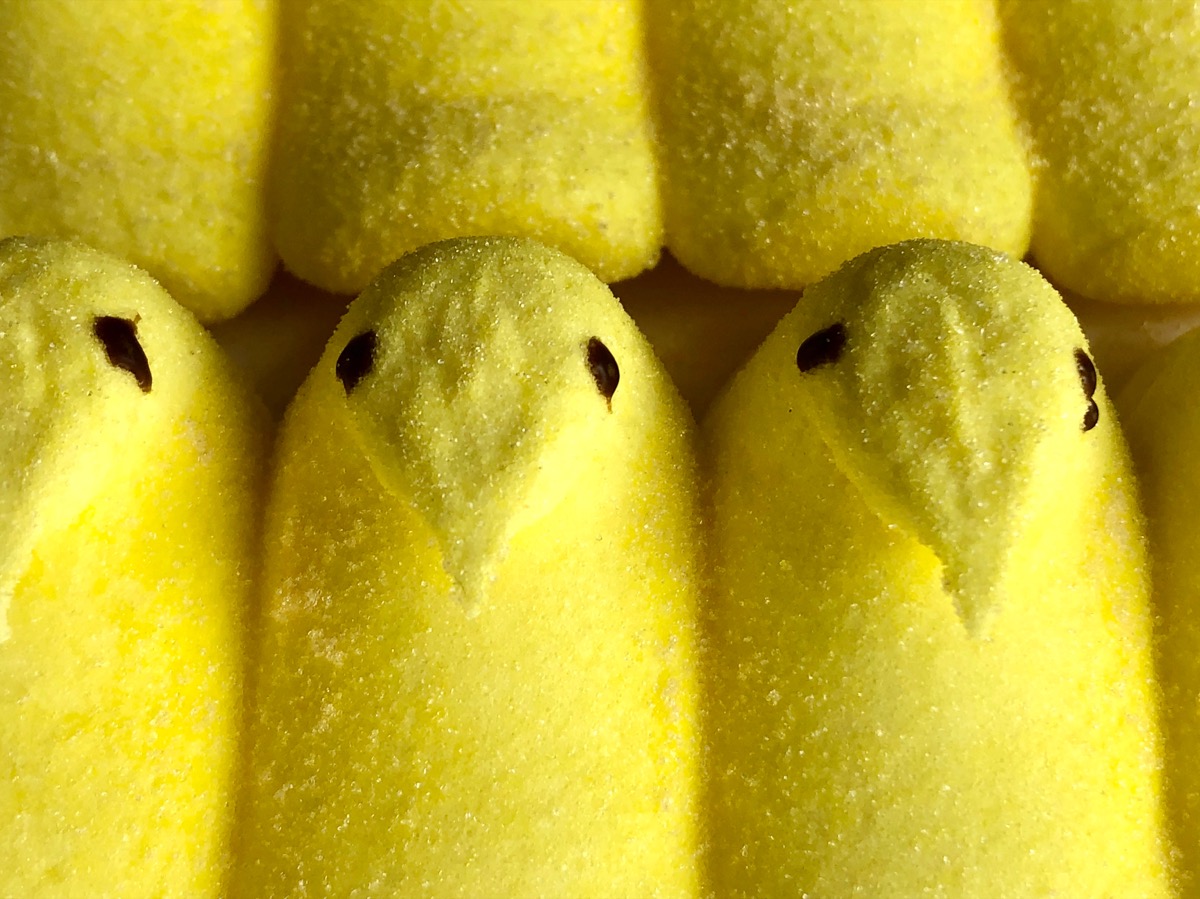 peeps, yellow candy, easter treat