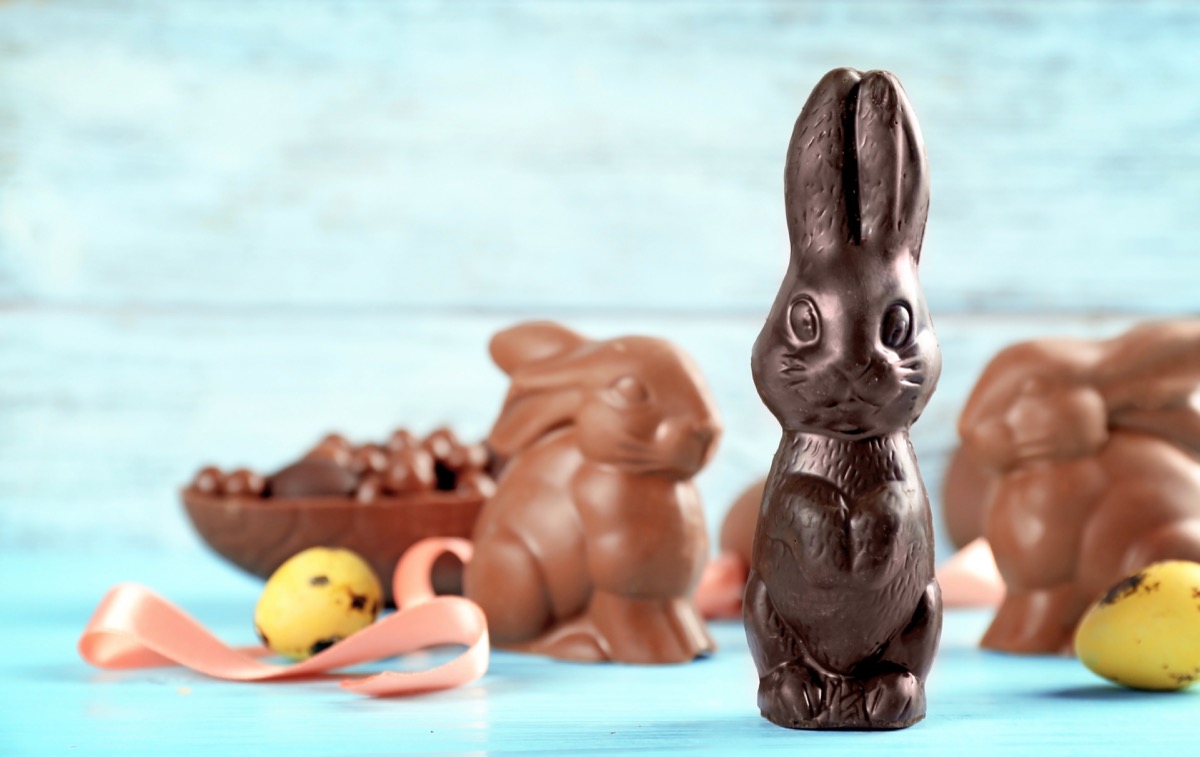 chocolate bunnies, easter candy, blue background