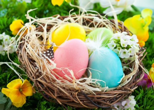 pastel colored easter eggs in nest
