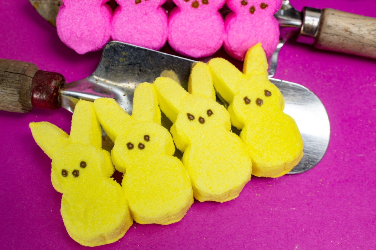 yellow, pink peeps, easter candy