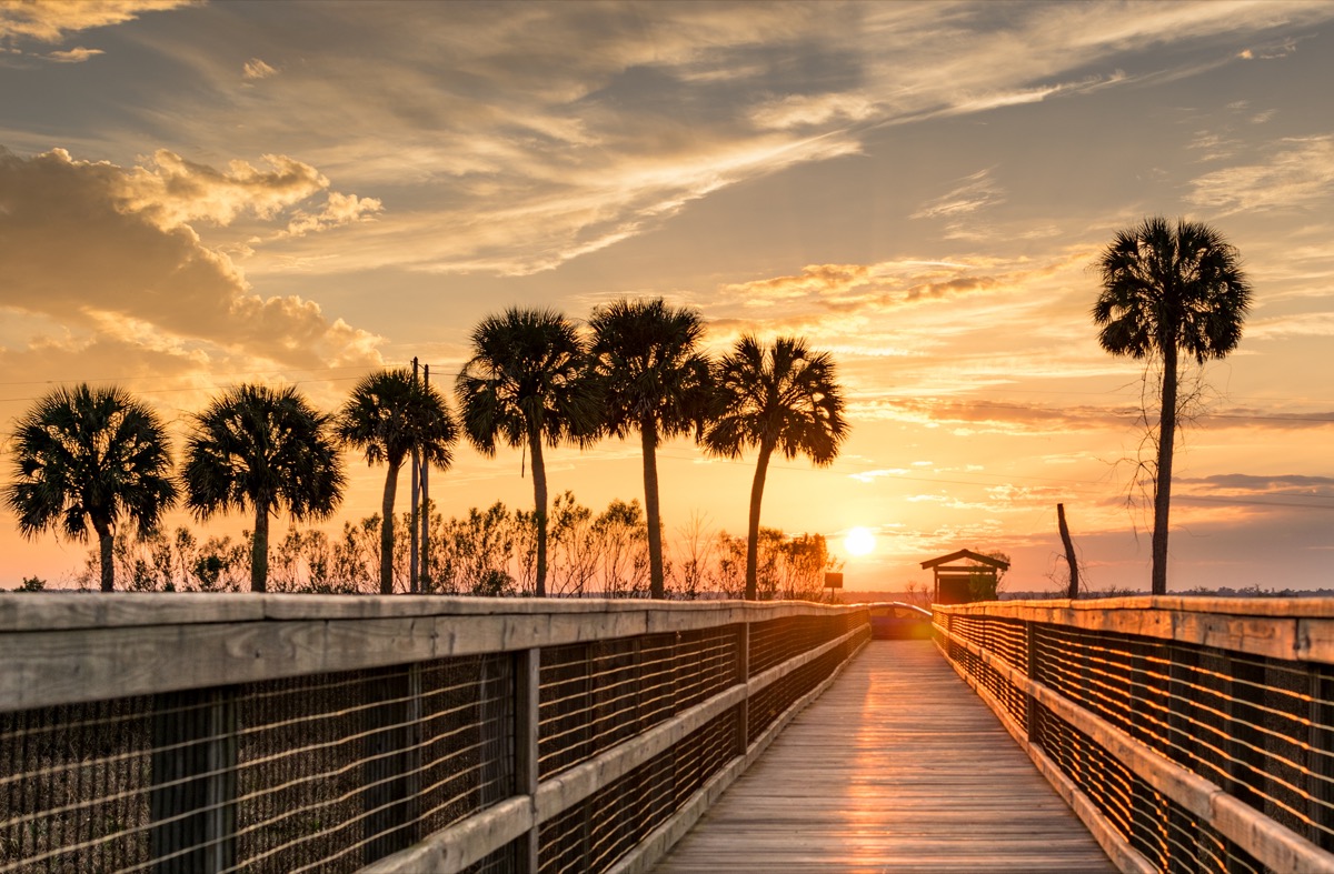 landscape photo of a pier in Gainesville, which is a town near Lake, City Florida