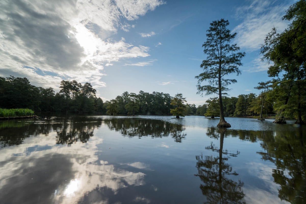 A lake in Sumter, South Carolina, which is a town near Lake City, SC
