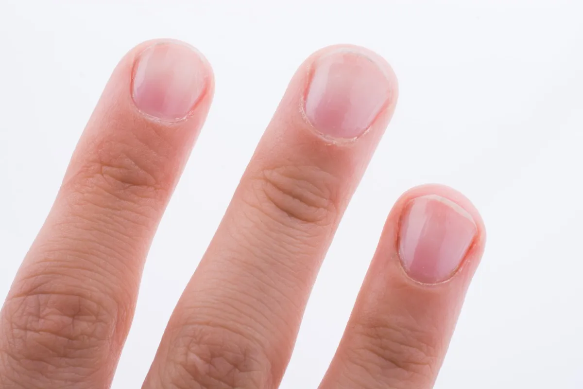 Hand fingernails