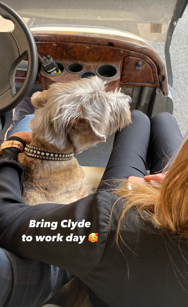 Jennifer Aniston's dog Clyde riding in a golf cart on "The Morning Show" set