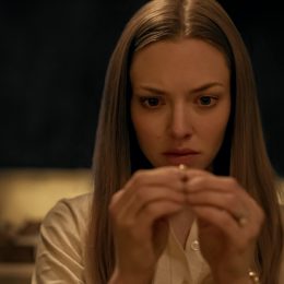 Amanda Seyfried in Things Seen & Heard