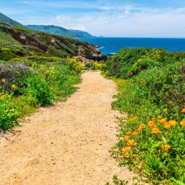 Beach in Northern California