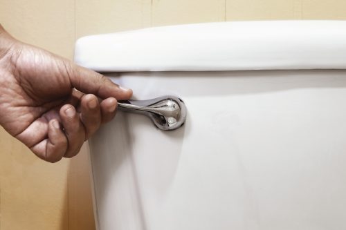 hand flushing toilet closeup