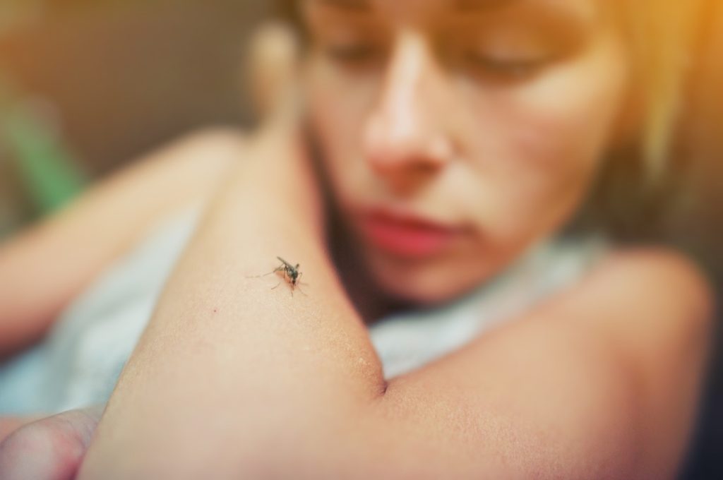 woman looking at her arm, skin with a bug, mosquito on it