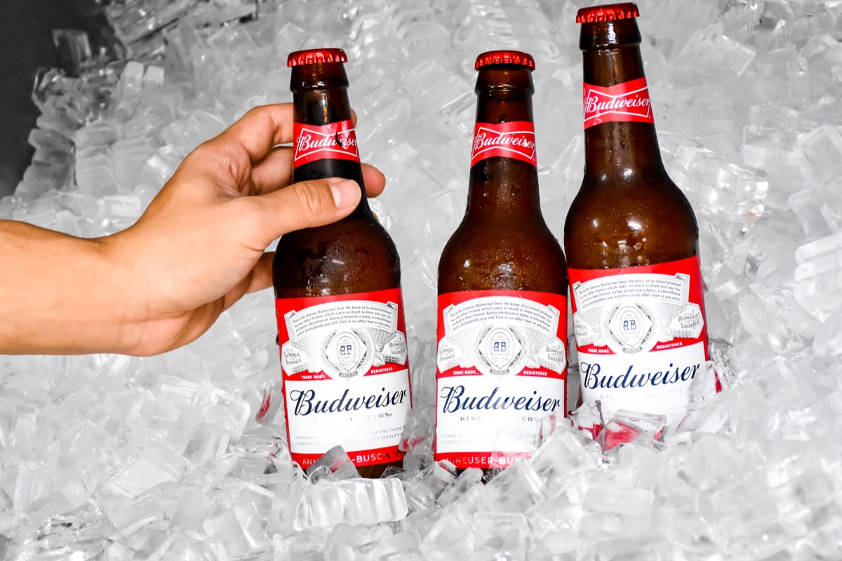 Three glass bottles of Budweiser in ice