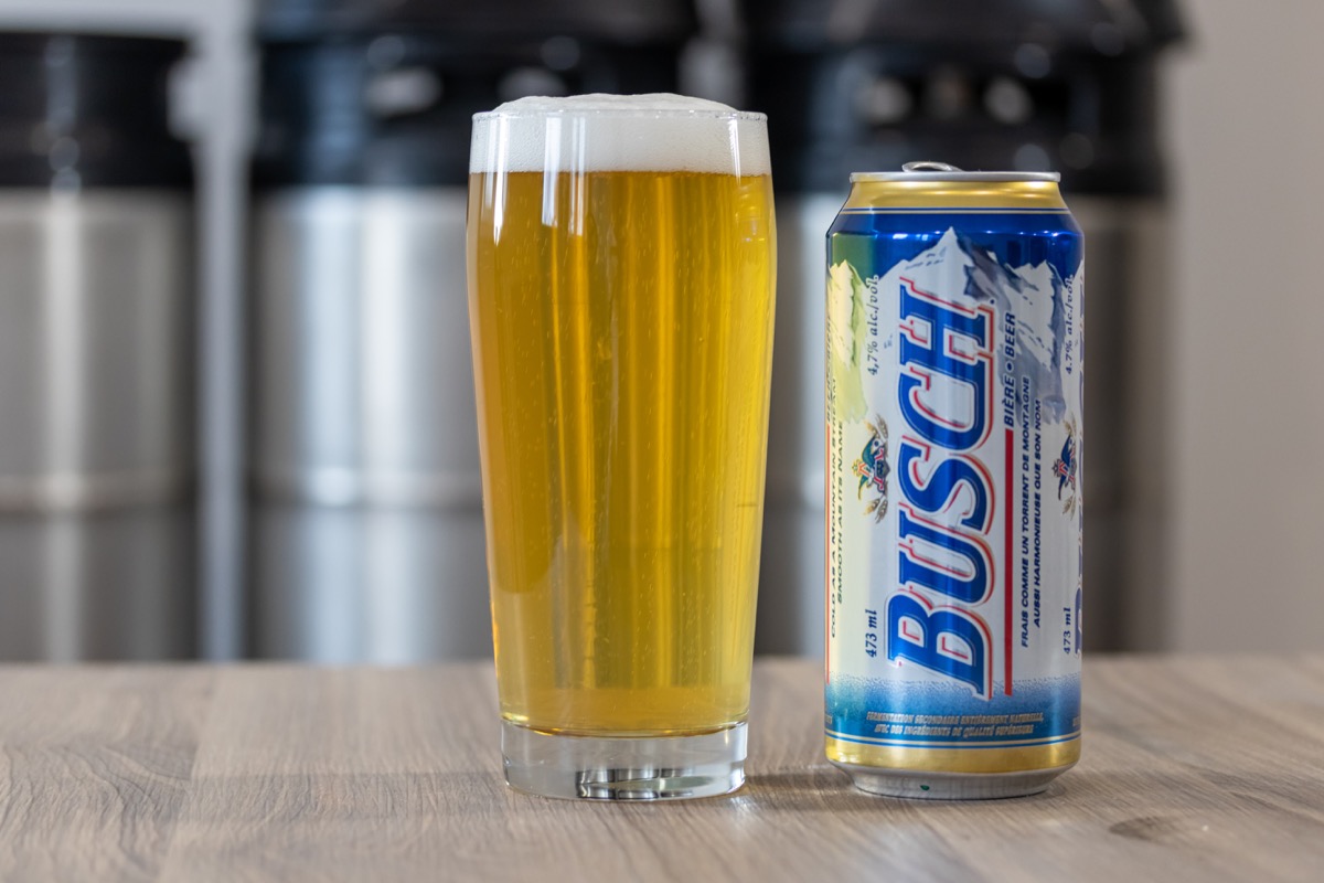 glass, can of busch beer