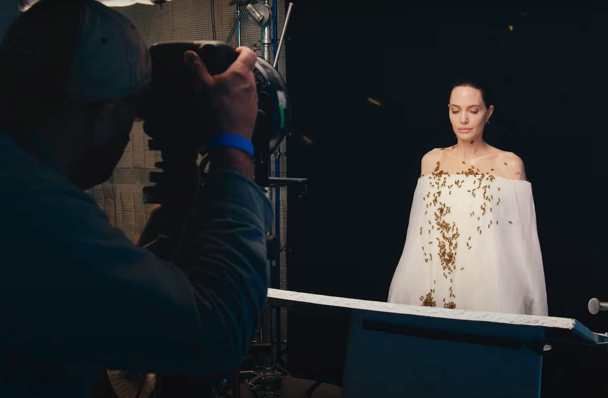 Angelina Jolie being photographed while covered in bees