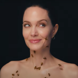 Angelina Jolie covered in bees for her "National Geographic" photoshoot