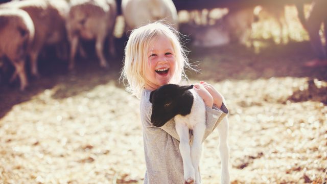 A young girl holding a baby lamb at a petting zoo