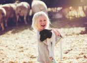 A young girl holding a baby lamb at a petting zoo