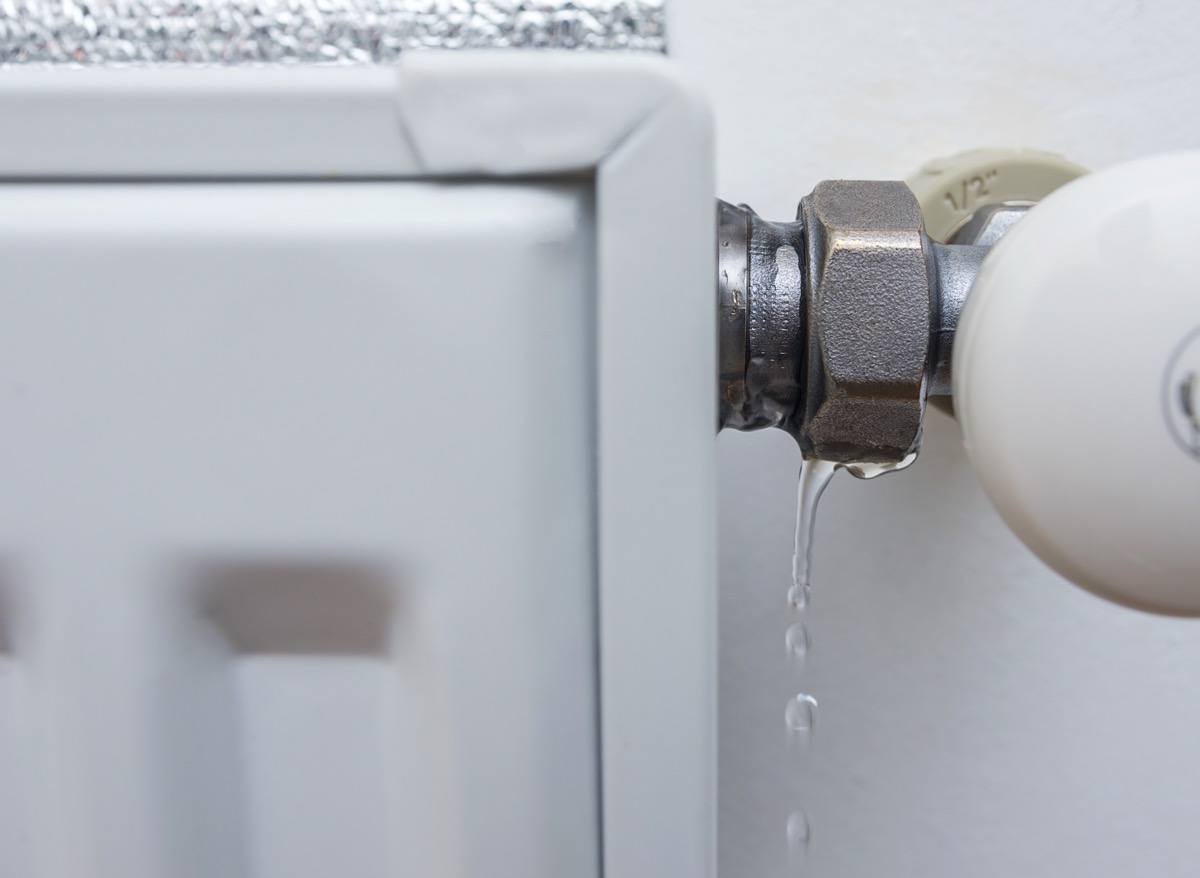 Running a Dehumidifier Helps Keep Bugs Out of Your Home — Best Life