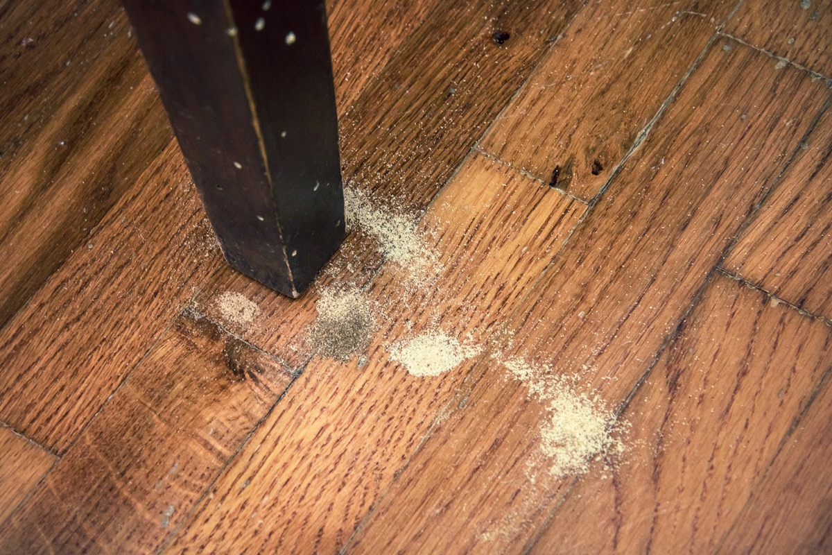 sawdust on floor near table leg