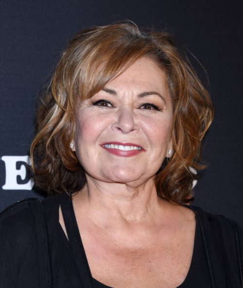roseanne barr on the red carpet