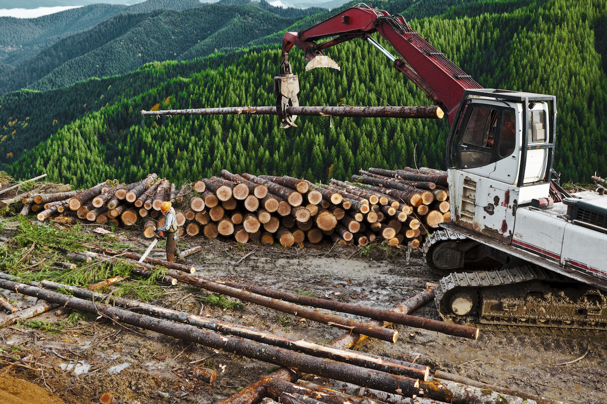 Logging workers