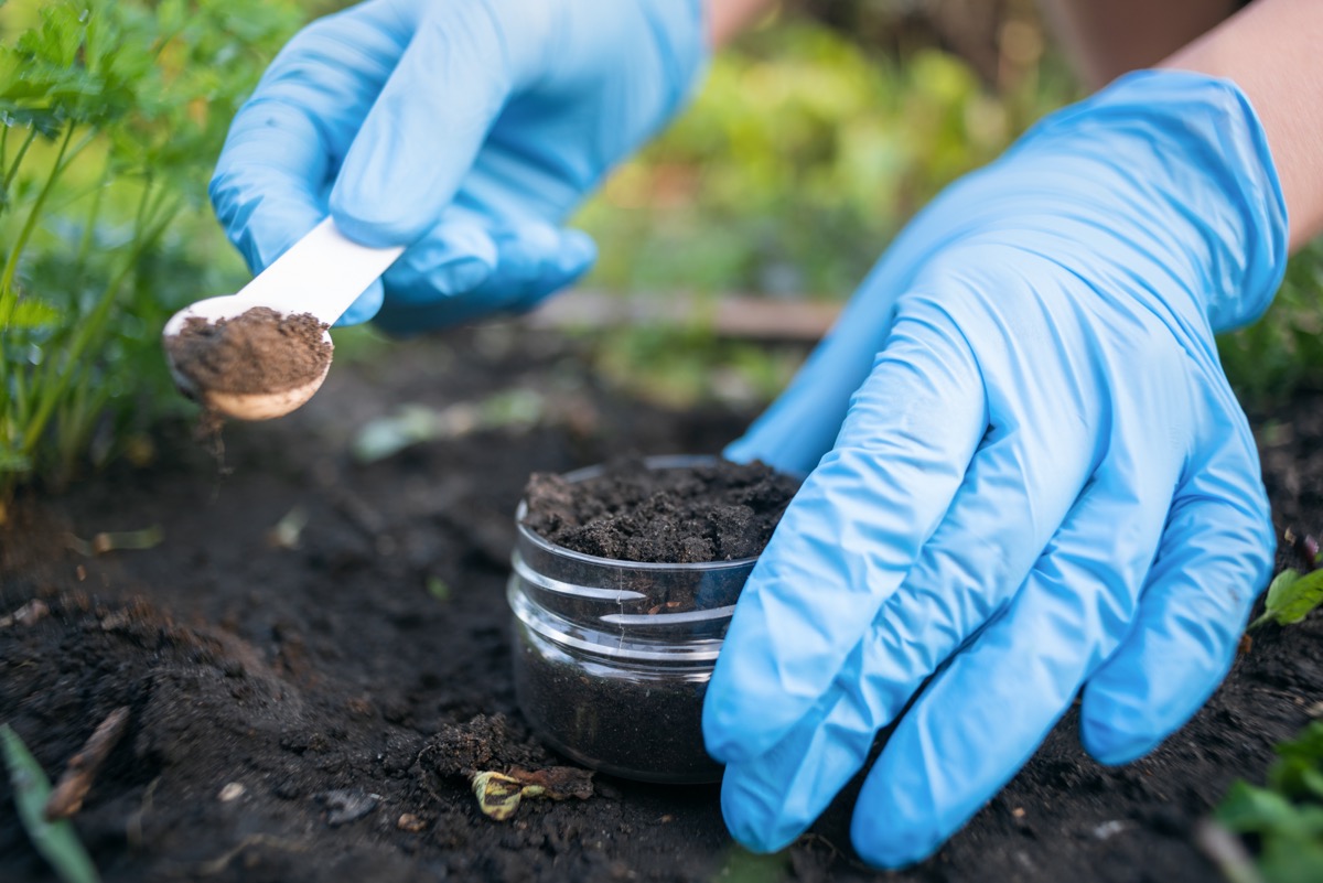 person wearing gloves testing soil