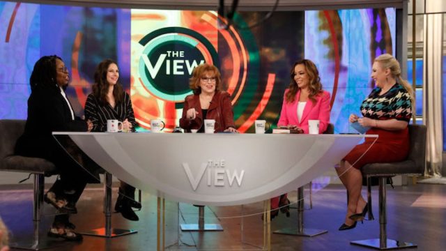 the panel on the view