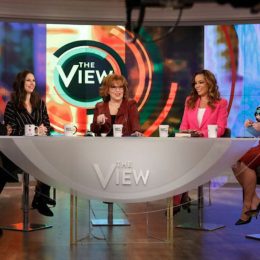 the panel on the view