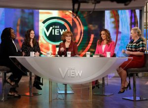the panel on the view