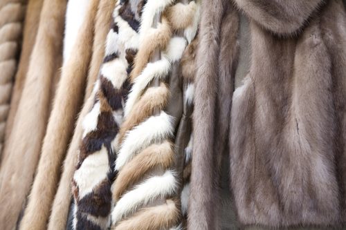 fur coats on rack | MercerOnline