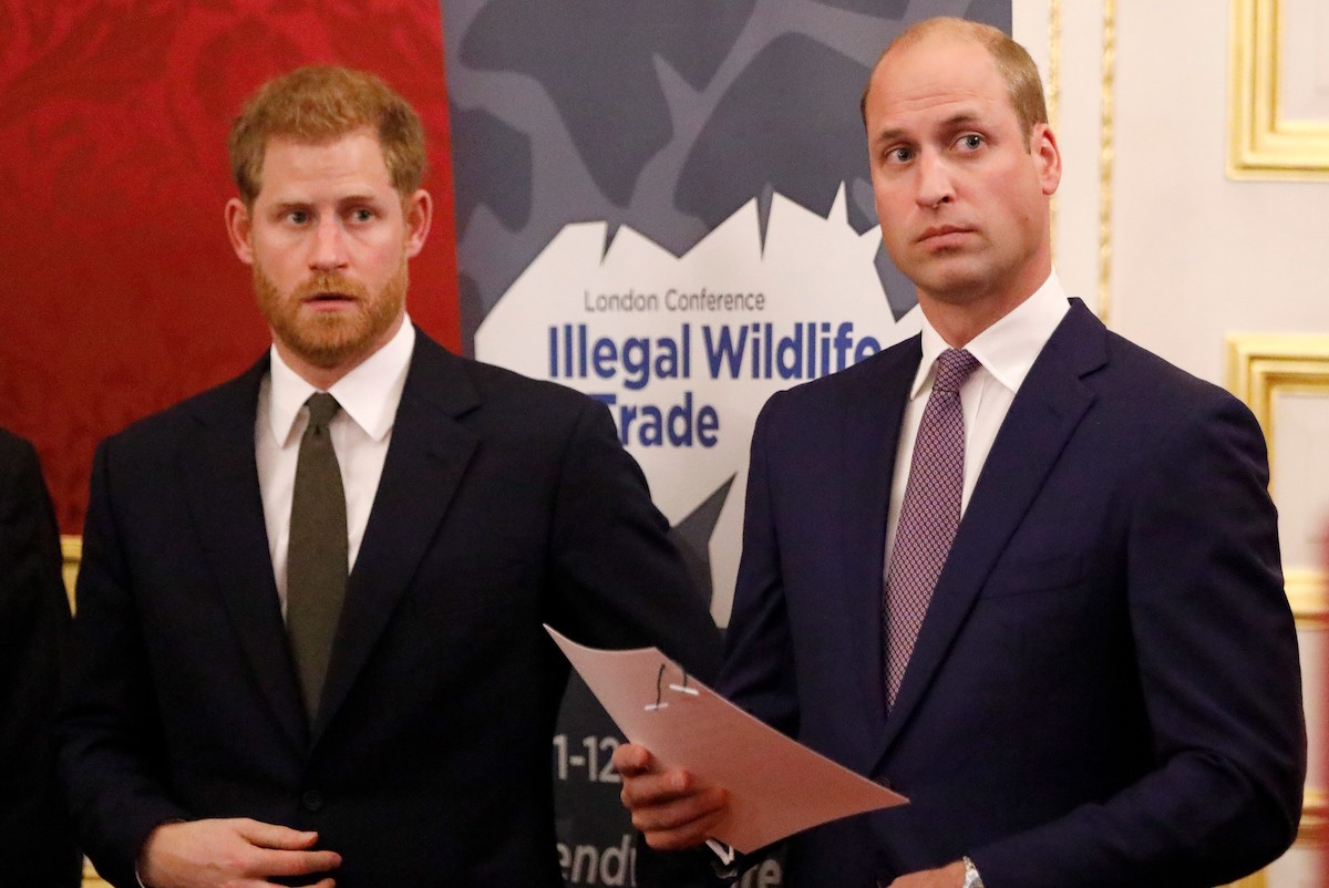 Prince William, Duke of Cambridge (R) and Prince Harry, Duke of Sussex,