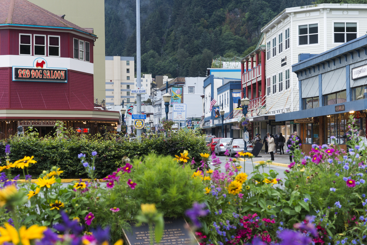 A shot of downtown Juneau, Alaska with flowers in the foreground